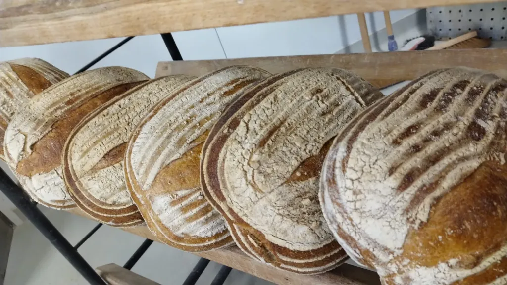 Pain froment T80 (blanc)